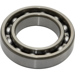 New Holland 8560 84156144 Bearing