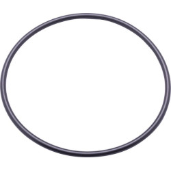 New Holland 8560 87421145N O-ring