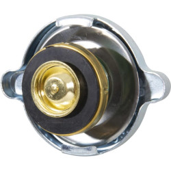 New Holland TD60D 83935905N Radiator cap suitable for NH