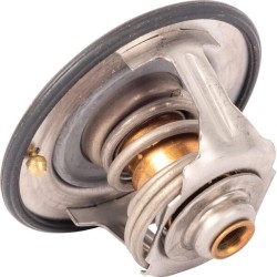 Case - IH Maxxum 100 Value 4215604M2 Termostatas