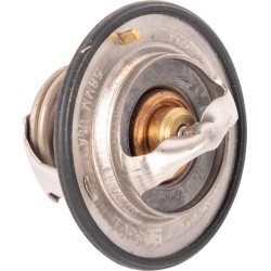 Case - IH Maxxum 125 Value 4215604M2 Termostatas