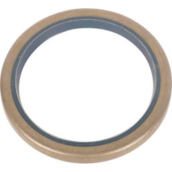 Case - IH Maxxum 125 Value 47137455 Antspaudas