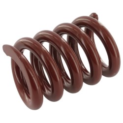 Case - IH D – Serie 3131375R2 Spring Case – IH