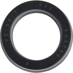 New Holland TS6.110 82002070N Oil seal