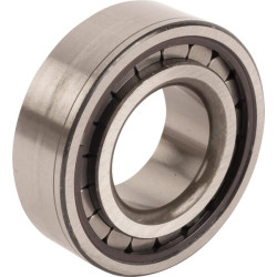 New Holland TS110 81824478 Bearing
