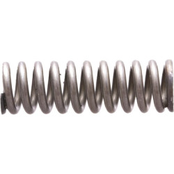 New Holland TS110 81824516 Spring, Compression
