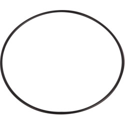 New Holland T8.380 Tier 2 86977780N O-ring