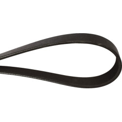 New Holland TM125 J911565 Belt