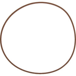 New Holland T7.245 Classic Stage V (1/19 -) 5181566 Stūmoklio žiedas