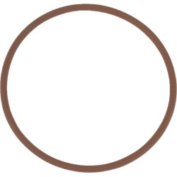 New Holland T5.110 (4/20-) 14459881 O žiedas