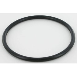 Case - IH MX100 Maxxum 86625101 vandens siurblio sandarinimo žiedas CNH