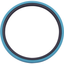 New Holland TM150 5152665 Seal