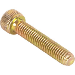 New Holland TM155 83905941 Screw