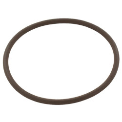 New Holland TM165 14459381 O-ring