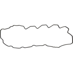 New Holland T7.210 - Engine Tier 4B 504070038 Rocker cover gasket