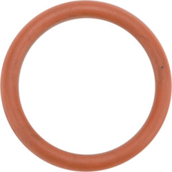 New Holland T3.75F - Engine Tier 3 17288681 O-ring