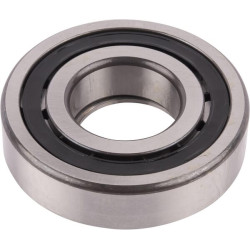 New Holland T6.175 Stage V (7/20 -) Auto Command Tier 4B 5138660 Cylindrical roller bearing