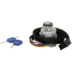 Case - IH Maxxum 115 Pro 20503102PN Uždegimo jungiklis P-0-1-2-3, Pneutron