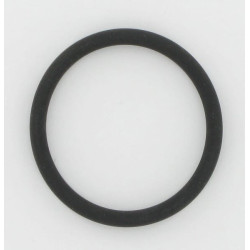 New Holland TT75D 17289281 O-Ring