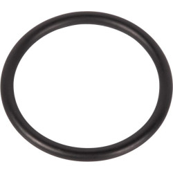 New Holland TT65 14463981 Ring Fkw