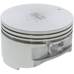 Stūmoklis 1300303110001