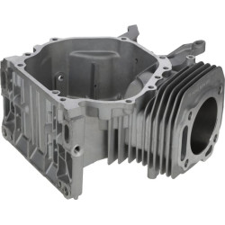 Karterio korpusas 1108100140001