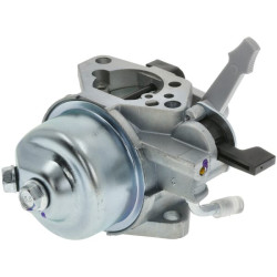 Karbiuratorius 1700221700001