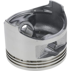 Stūmoklis 1300300870001