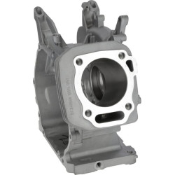 Karterio korpusas 1108100140001