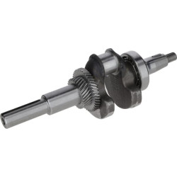 Raktas 1302900700001