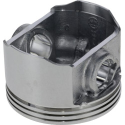 Stūmoklis 1300301880001