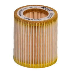 Oro filtras E1890L