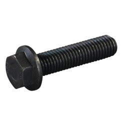 Peilio varžtas E08291ASM