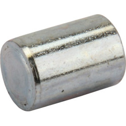 Cilindro kaištis Busatis 3230880