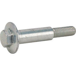 Peties varžtas M83009