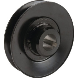 Skriemulys AM123935