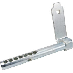 Ašies galas AM132874