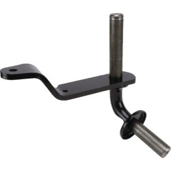 Ašies galas AM143833