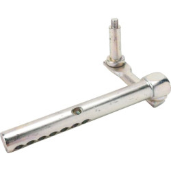 Ašies galas AM137264