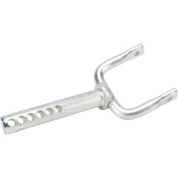 Ašies galas LVA16506