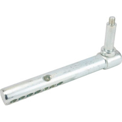 Ašies galas AM131288