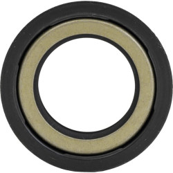 Sandariklis 6E04057340