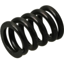 Spyruoklė 1677746SM