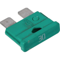 Saugiklis 30A 1134349607