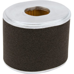 Oro filtras P607254GJ