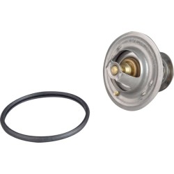Case - IH MXU100 Maxxum VPE3454 termostatas