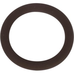 Case - IH MXU100 Maxxum 14462981N O žiedas