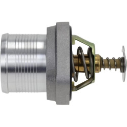 Termostatas 6141299
