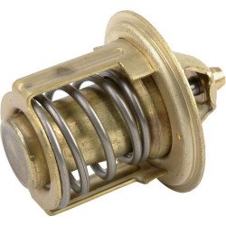 Termostatas Mitsubishi 30L4605400