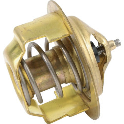 Termostatas Mitsubishi K6516441